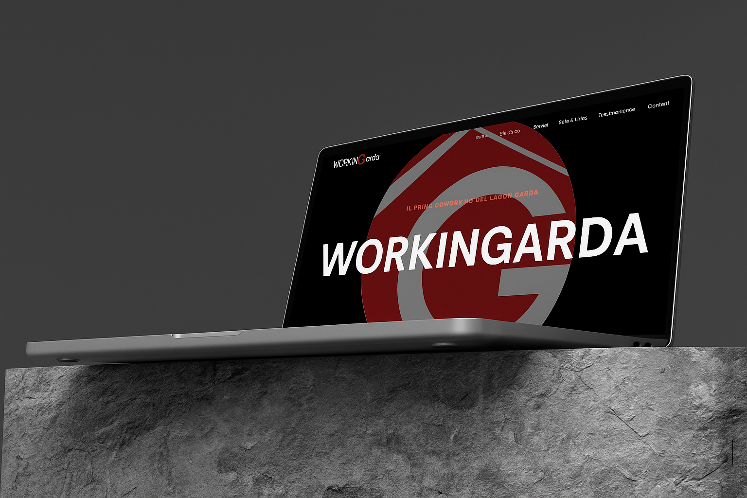 portfolio workingarda sitoweb